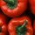peppersbg